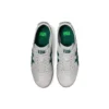 Mexico 66 «Grey Green»